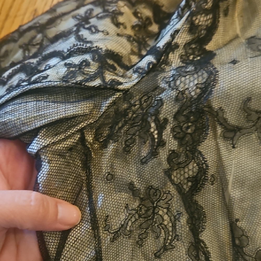 Wounded Bird! Antique 1800s Elegant Black Lace Women's Top - Picture 9 of 17